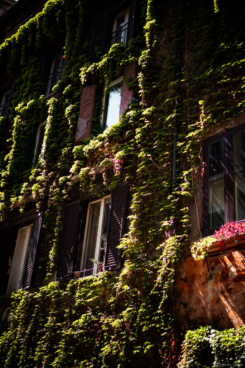 Photos from Rome, Venice, Florence, Tuscany, Manarola, Vernazza, Riomaggiore, Verona, Trento, and the Italian Alps in Spring of 2022.